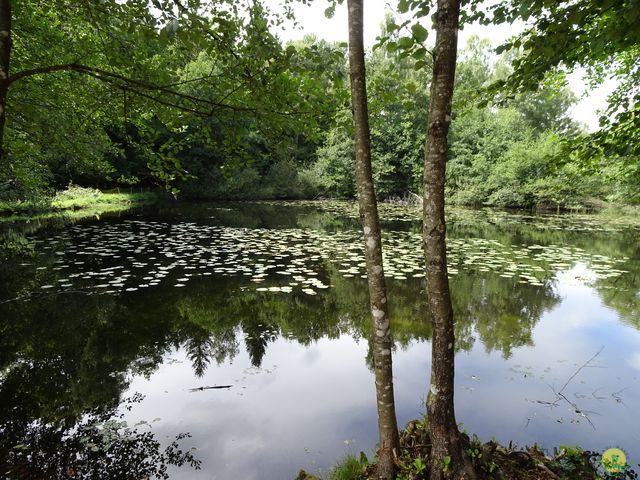 Randonnée joëlettes à Ramonchamp