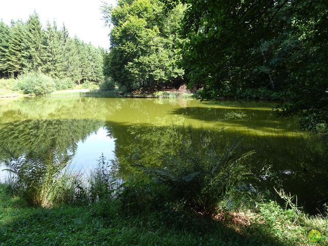 Randonnée joëlettes à Ramonchamp