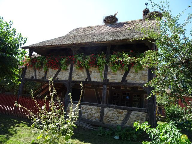 Randonnée joëlettes à Ramonchamp