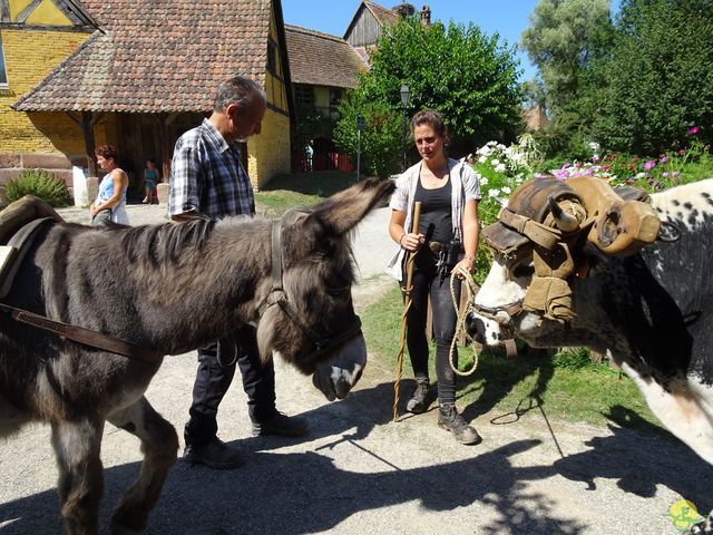 Randonnée joëlettes à Ramonchamp