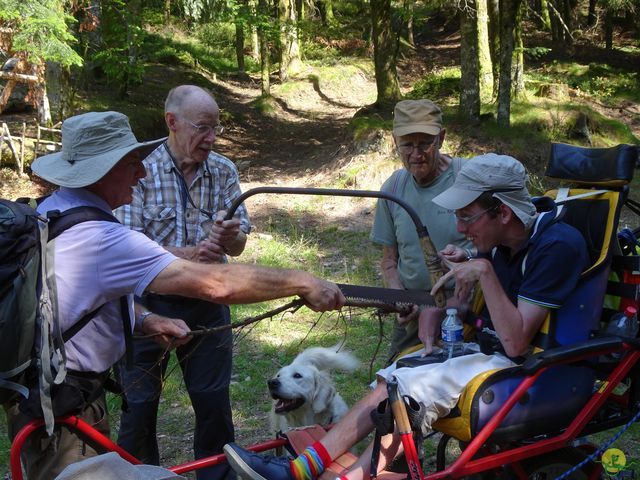 Randonnée joëlettes à Ramonchamp