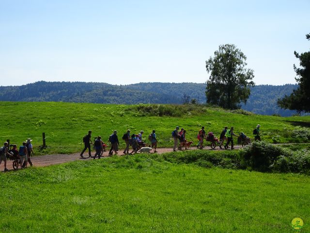 Randonnée joëlettes à Ramonchamp