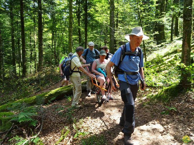 Randonnée joëlettes à Ramonchamp