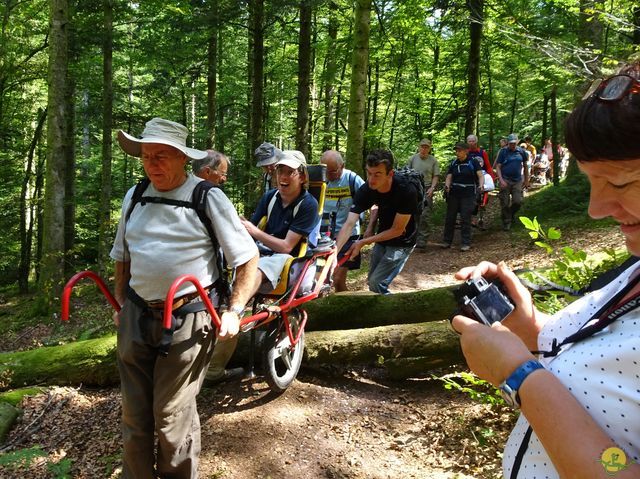 Randonnée joëlettes à Ramonchamp