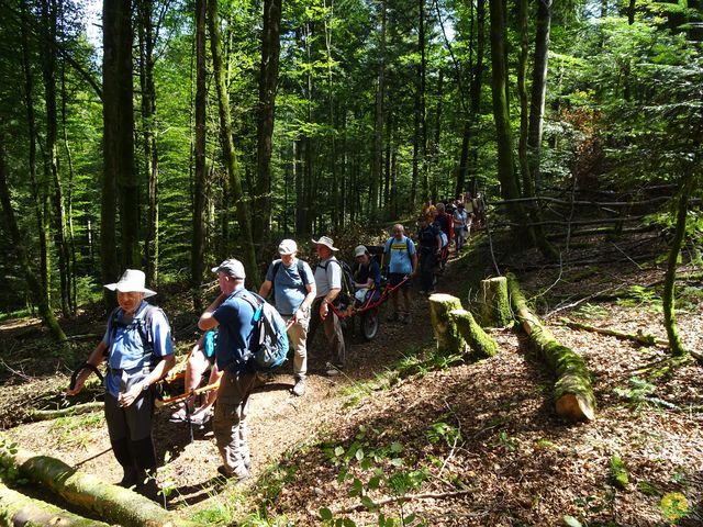 Randonnée joëlettes à Ramonchamp