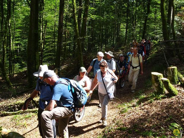 Randonnée joëlettes à Ramonchamp