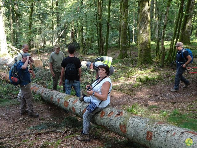 Randonnée joëlettes à Ramonchamp