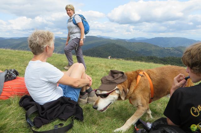 Randonnée joëlettes à Ramonchamp