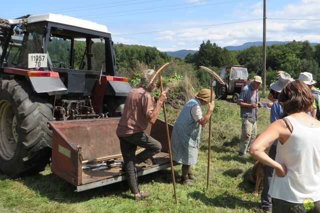 Randonnée joëlettes à Ramonchamp