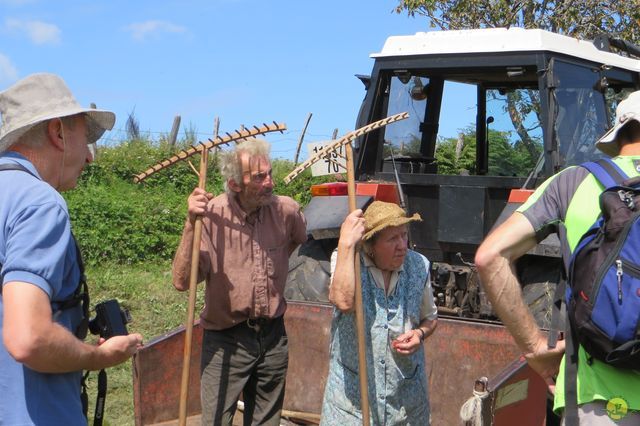 Randonnée joëlettes à Ramonchamp