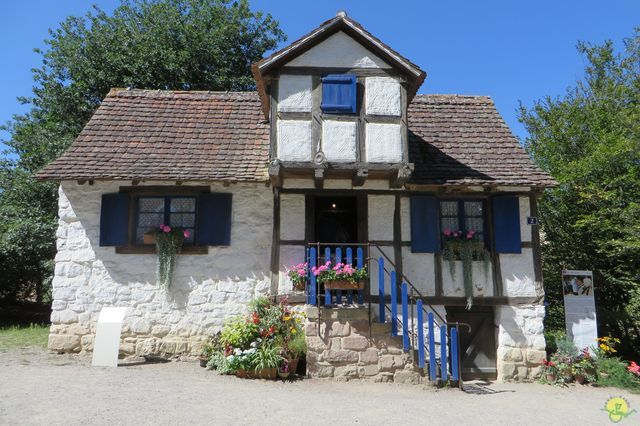 Randonnée joëlettes à Ramonchamp