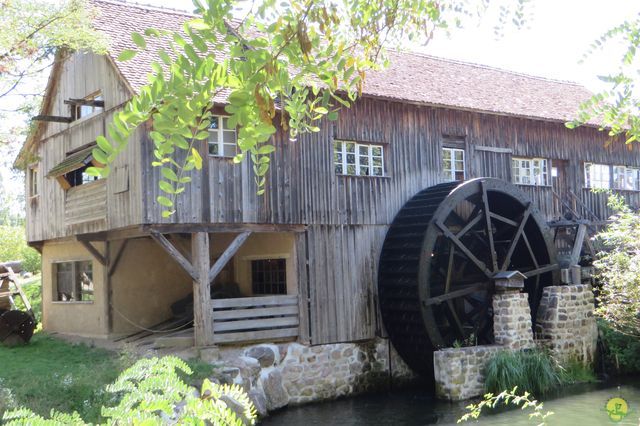 Randonnée joëlettes à Ramonchamp