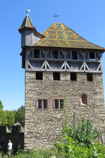 Randonnée joëlettes à Ramonchamp