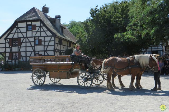 Randonnée joëlettes à Ramonchamp