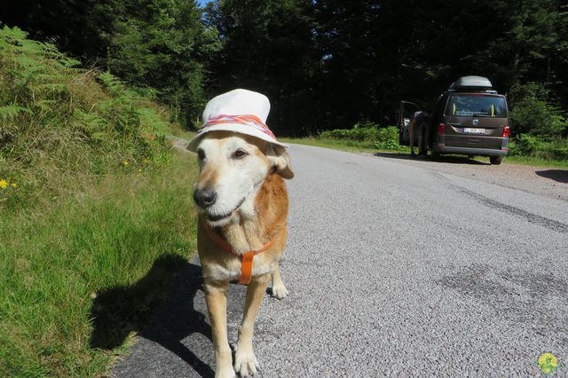 Randonnée joëlettes à Ramonchamp