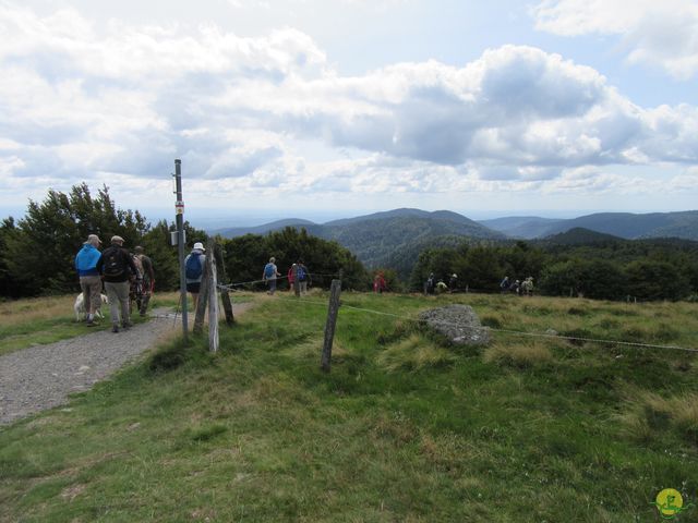 Randonnée joëlettes à Ramonchamp