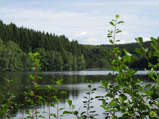 Randonnée joëlettes à Ramonchamp