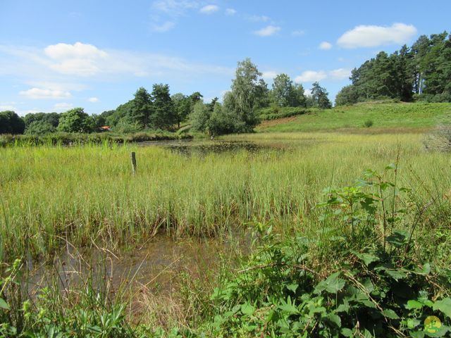 Randonnée joëlettes à Ramonchamp