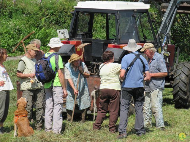 Randonnée joëlettes à Ramonchamp