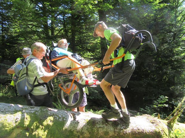 Randonnée joëlettes à Ramonchamp