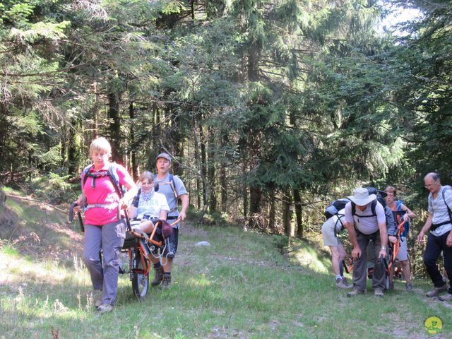 Randonnée joëlettes à Ramonchamp