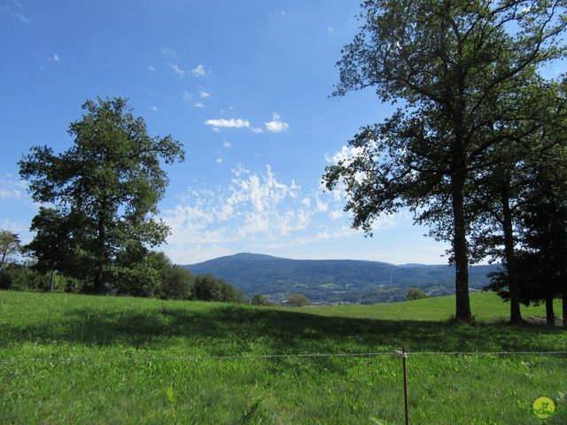 Randonnée joëlettes à Ramonchamp