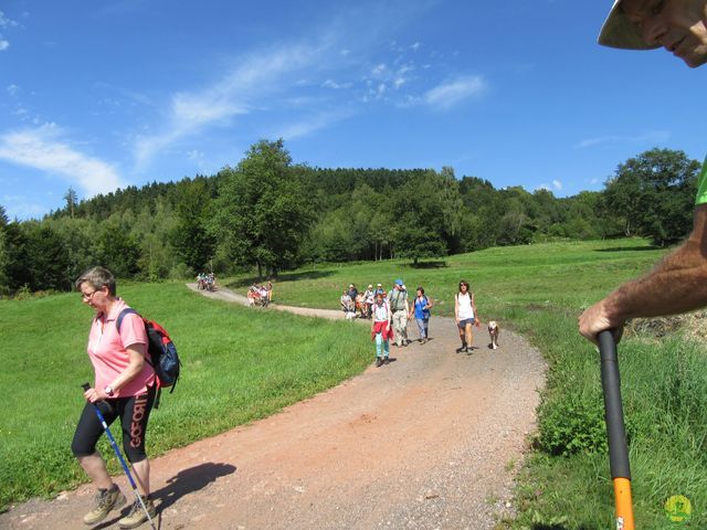 Randonnée joëlettes à Ramonchamp