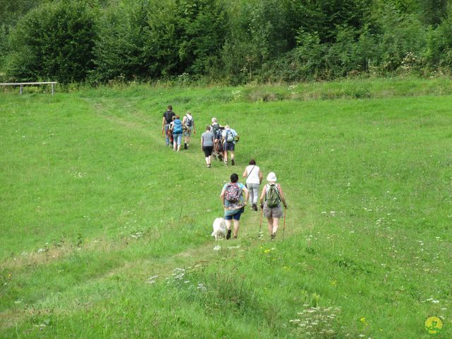 Randonnée joëlettes à Ramonchamp