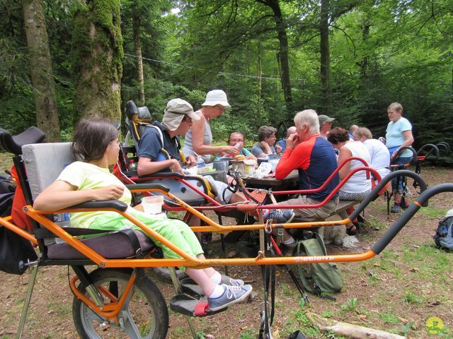 Randonnée joëlettes à Ramonchamp