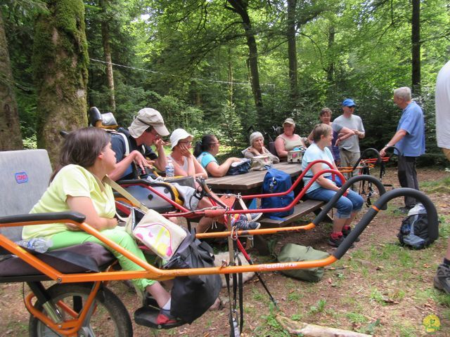 Randonnée joëlettes à Ramonchamp