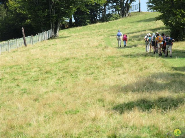 Randonnée joëlettes à Ramonchamp