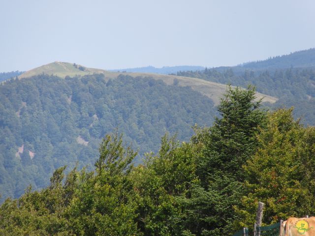 Randonnée joëlettes à Ramonchamp