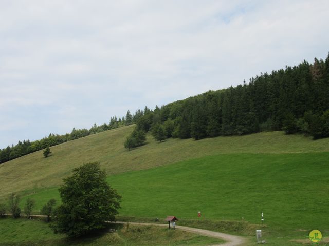 Randonnée joëlettes à Ramonchamp