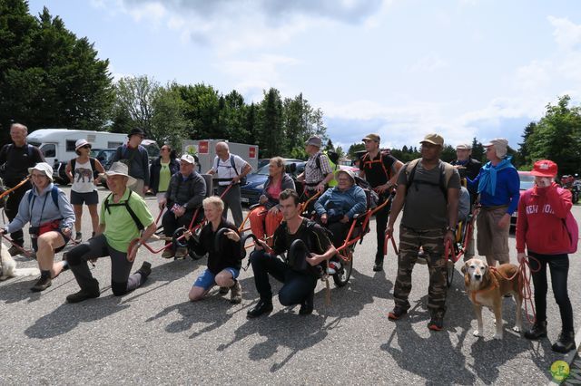 Randonnée joëlettes à Ramonchamp