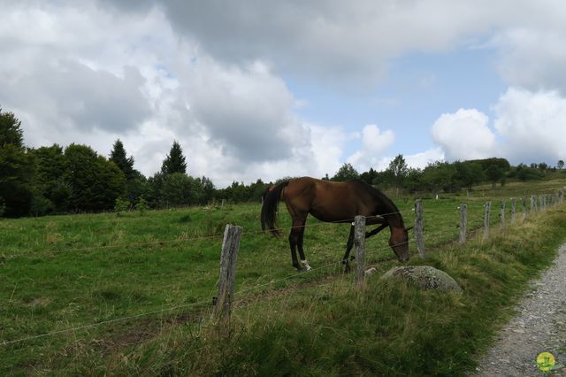 Randonnée joëlettes à Ramonchamp