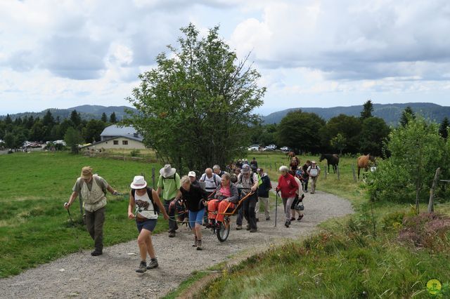 Randonnée joëlettes à Ramonchamp