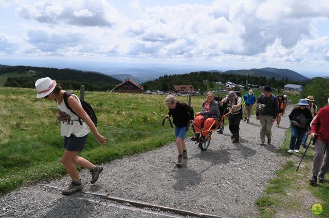 Randonnée joëlettes à Ramonchamp