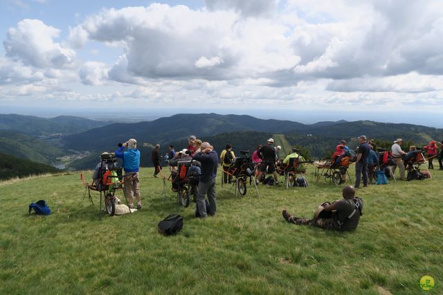 Randonnée joëlettes à Ramonchamp