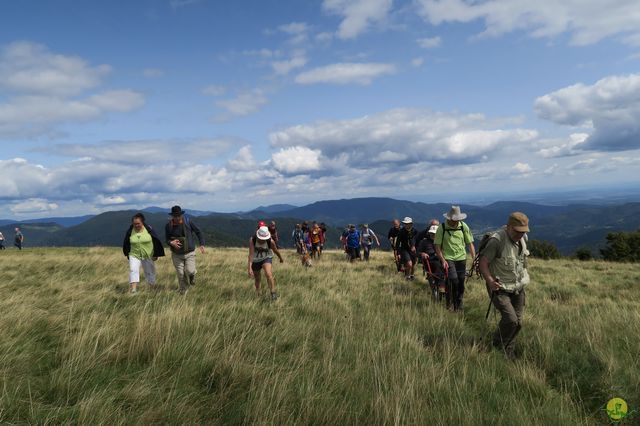 Randonnée joëlettes à Ramonchamp