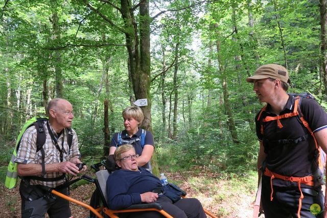 Randonnée joëlettes à Ramonchamp