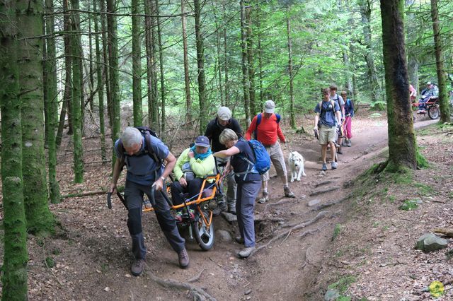 Randonnée joëlettes à Ramonchamp