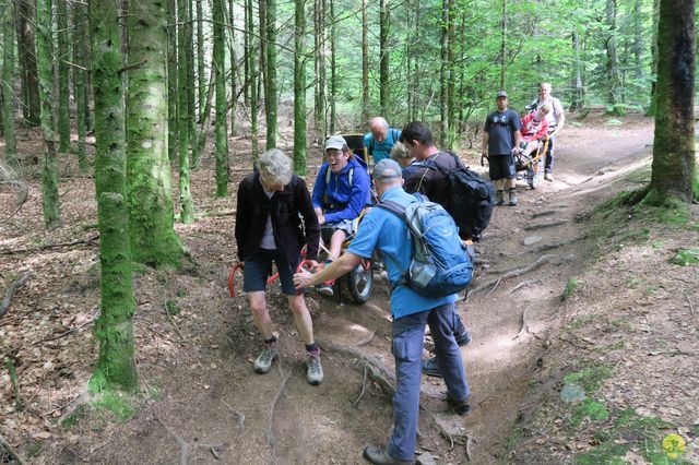 Randonnée joëlettes à Ramonchamp