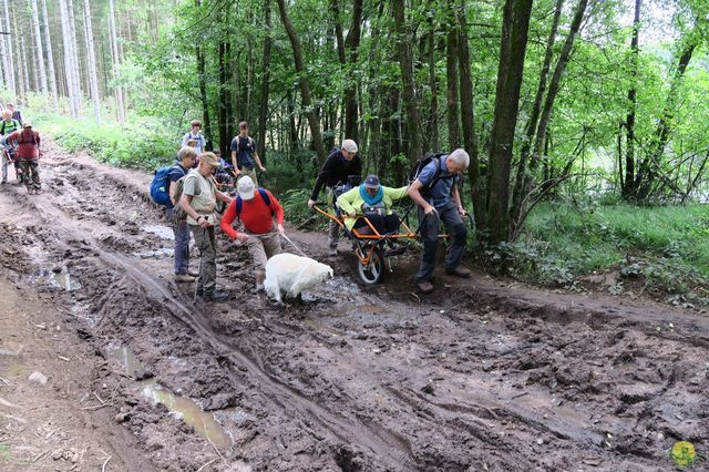 Randonnée joëlettes à Ramonchamp