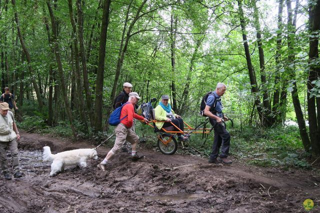 Randonnée joëlettes à Ramonchamp