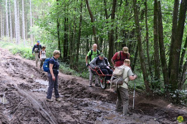 Randonnée joëlettes à Ramonchamp