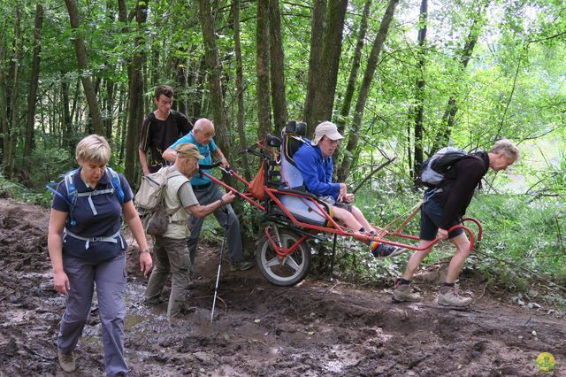 Randonnée joëlettes à Ramonchamp