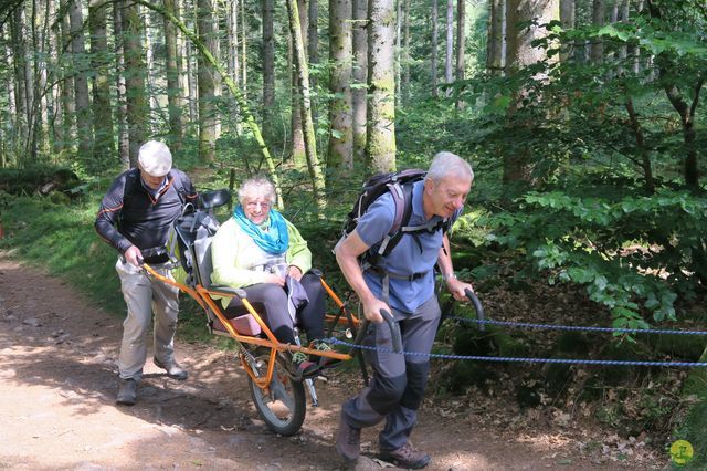 Randonnée joëlettes à Ramonchamp