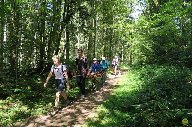 Randonnée joëlettes à Ramonchamp