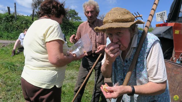 Randonnée joëlettes à Ramonchamp