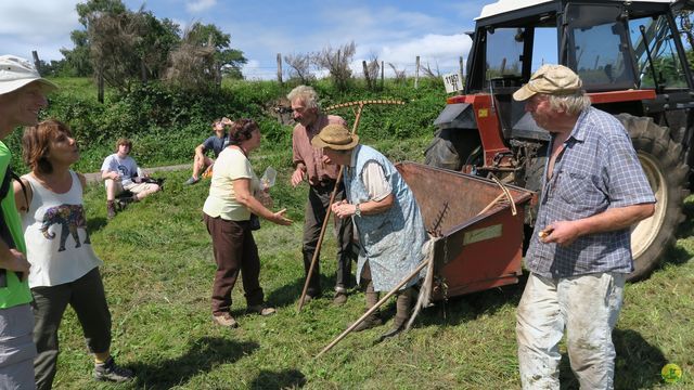 Randonnée joëlettes à Ramonchamp